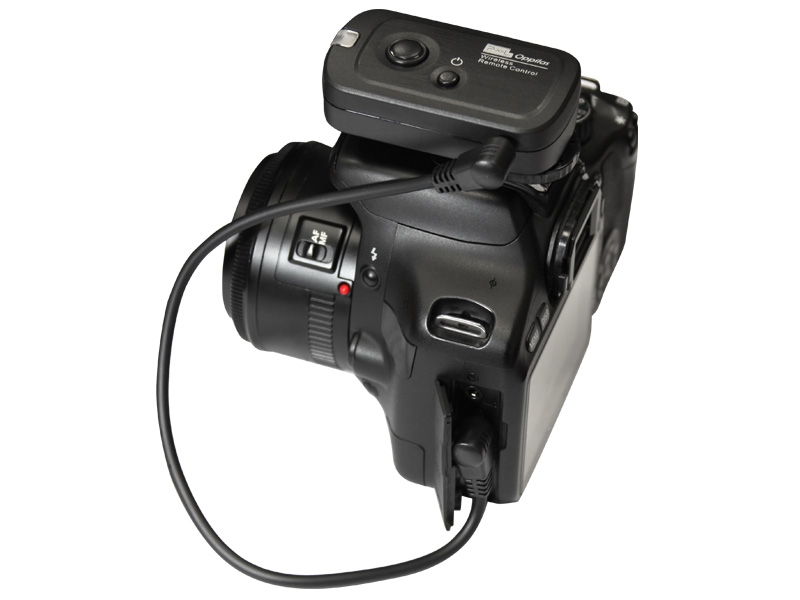 Nikon D500 D300-S D200 D4 İçin Pixel Oppilas Kablosuz Kumanda DC0 6