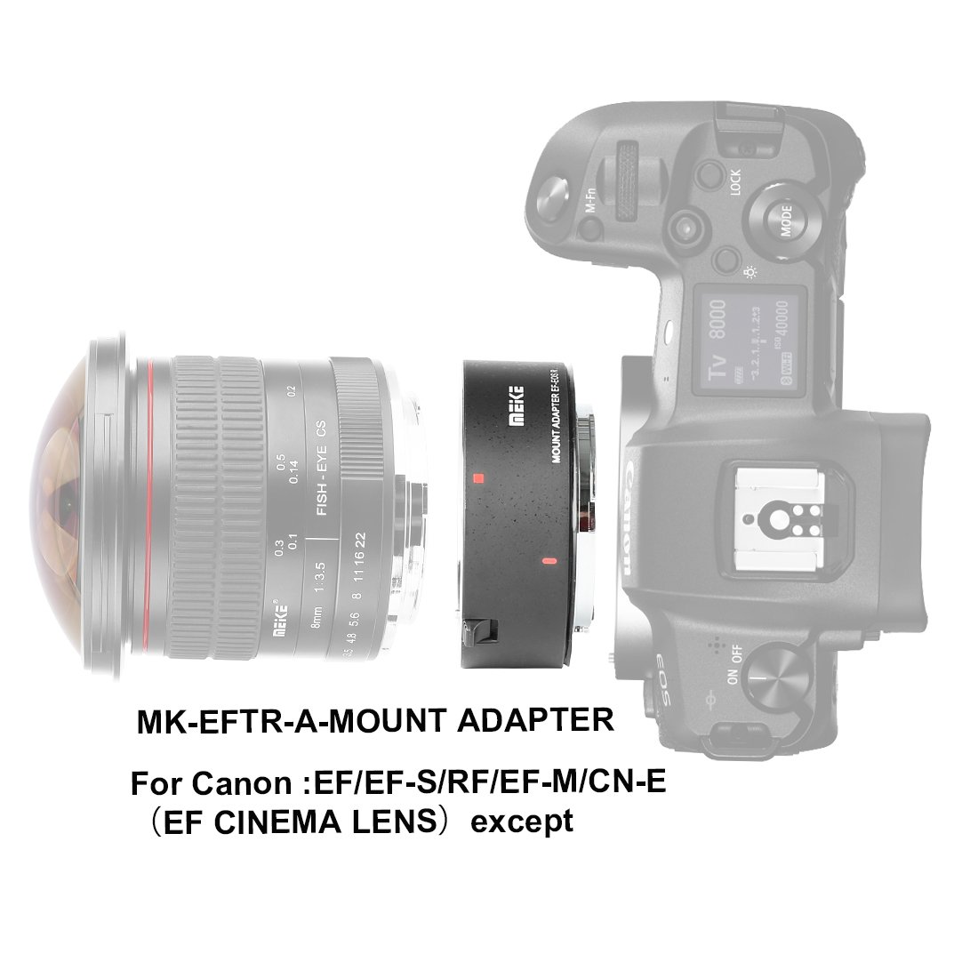 Canon EOS R İçin Canon EOS EF / EFS Auto Focus Lens Adaptörü 9 Canon EOS R İçin Canon EOS EF / EFS Auto Focus Lens Adaptörü 9